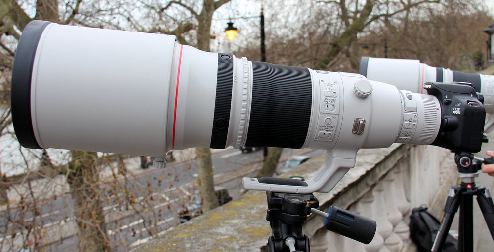 Lens siêu tele chụp thể thao, chim cò