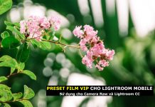 Preset màu film siêu đẹp cho Lightroom Mobile, Camera Raw, Lightroom