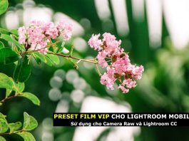 Preset màu film siêu đẹp cho Lightroom Mobile, Camera Raw, Lightroom